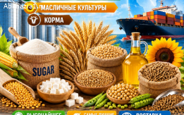 Сахар, зерновые и зернобобовые, масличные культуры, корма