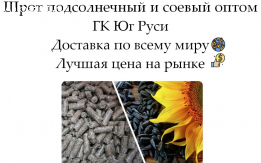 Шрот подсолнечный и соевый оптом от производителя ГК Юг Руси